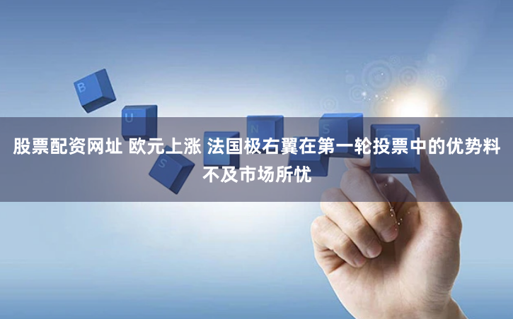 股票配资网址 欧元上涨 法国极右翼在第一轮投票中的优势料不及市场所忧